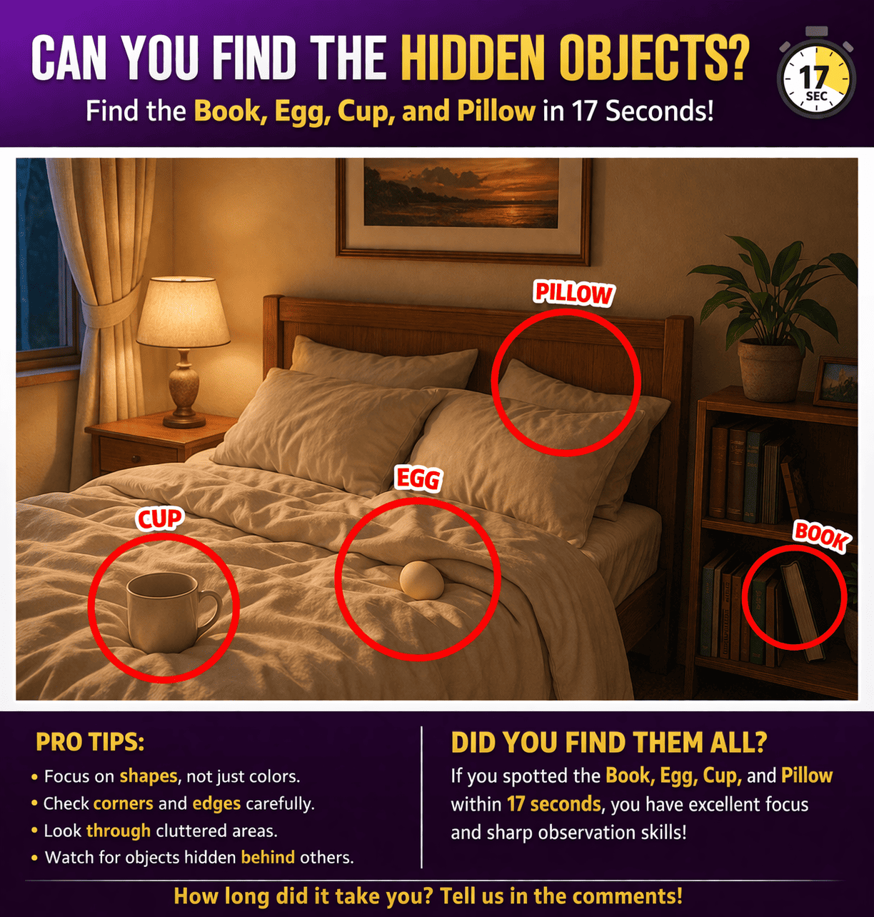 Hidden objects puzzle