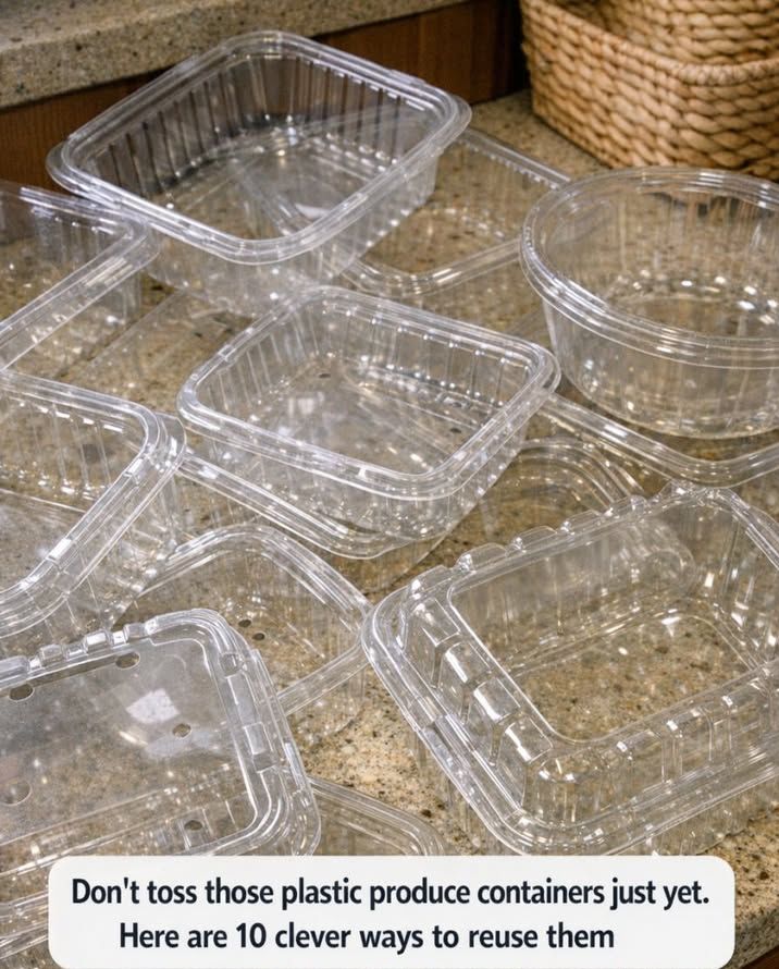 reuse plastic produce containers