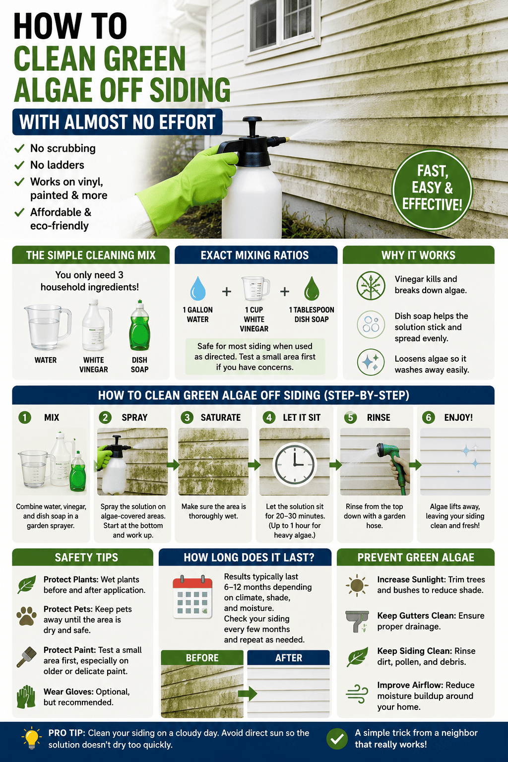 Clean Green Algae Off Siding