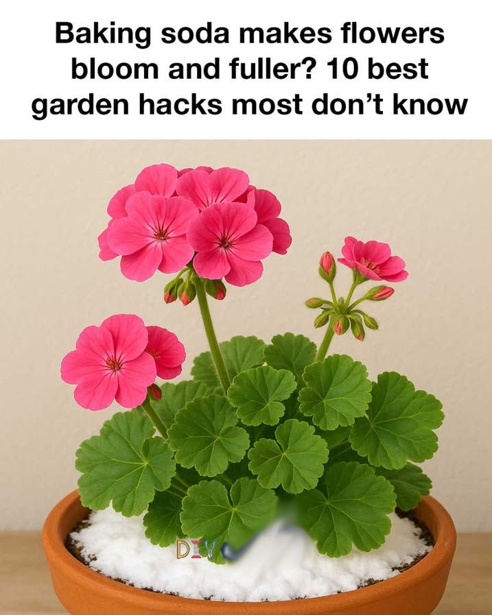 Garden Hacks