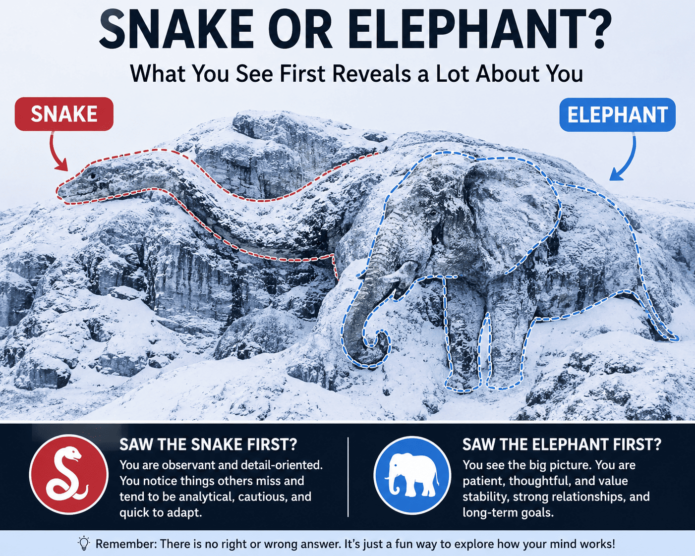 Snake or Elephant Optical Illusion