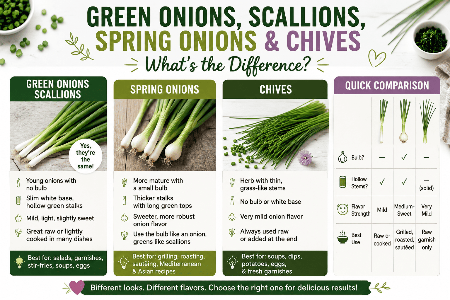 Green Onions vs Scallions vs Spring Onions vs Chives